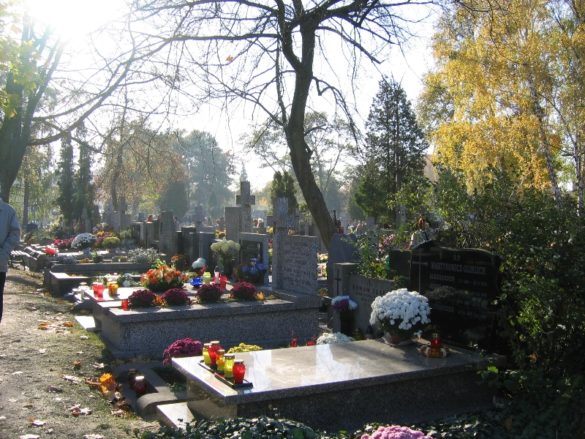 cmentarz wawrzyszewski