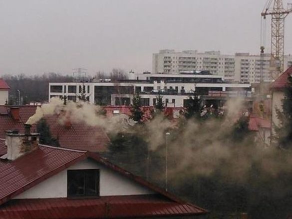 smog obwarzanek